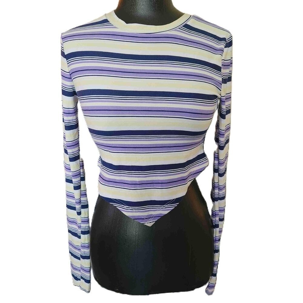 Streetwear Society Purple Striped Long Sleeve Crop Top Small